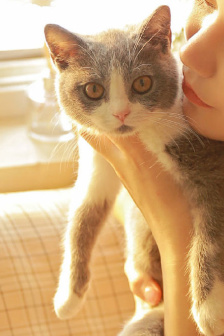 一起同過窗第三季