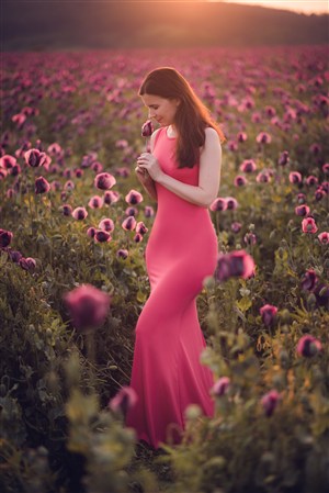 《一家亂戰》在線觀看免費