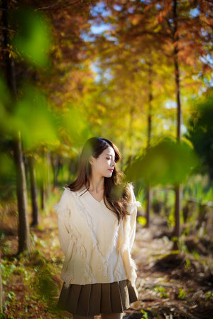 吳淚高莉莉是全文免費閱讀