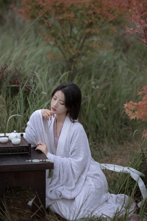 雙男主MV大片外網播放