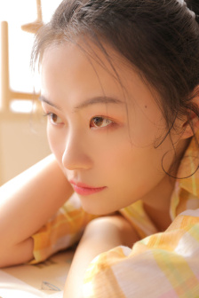 超時空要塞f 戀離飛翼