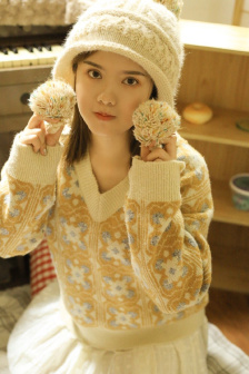 新還珠格格68集