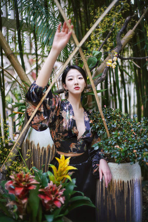 完美世界免費觀看