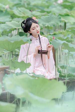 17C-起草官方網站進入