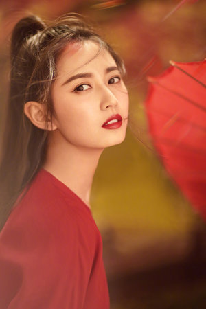 維尼熊和跳跳虎