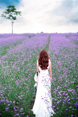 漫漫漫畫免費版在線閱讀