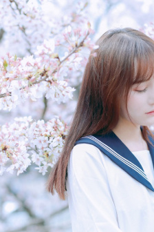 滄海電視劇全集影視大全免費觀看