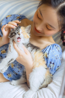 日本亂理倫片在線觀看大胸