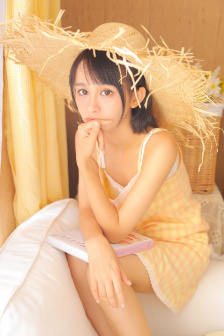 《法國啄木鳥:會議2》