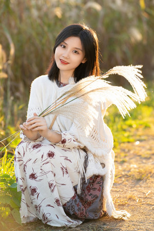 無節操社團簡譜第一季免費觀看