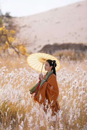 媳婦與老公免費高清電視劇