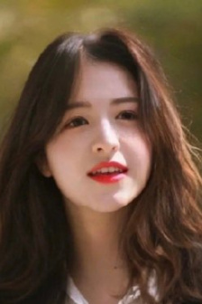 拔作島第一季全集免費播放